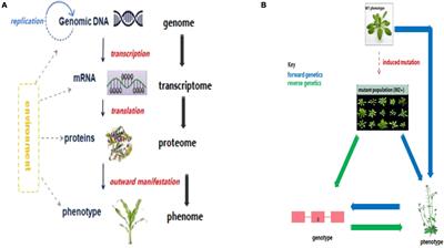 Omics-Facilitated Crop Improvement for <mark class="highlighted">Climate Resilience</mark> and Superior Nutritive Value